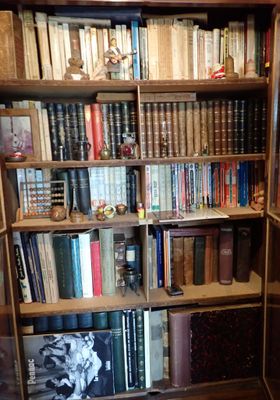 beaucoup de livres sur les étagères de la pièce