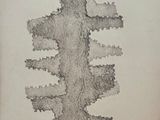 un vieux dessin représentant un arbre aux nombreuses branches