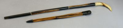 Deux cannes en bois dur, l’une africaine à la prise en grand…