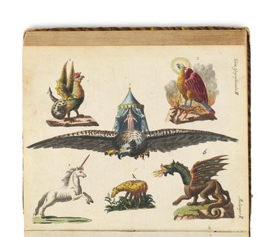 un vieux livre orné d'illustrations d'animaux et d'oiseaux