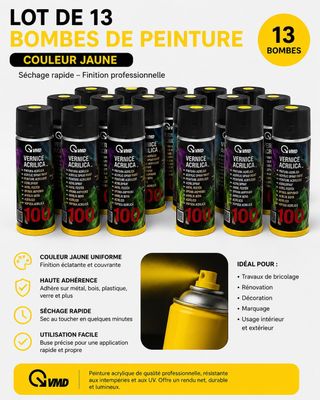 lot de 13 bombes de peinture