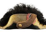 une image représentant un chapeau orné d'une plume