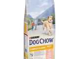 un gros plan d'un sac de croquettes pour chien sur fond blanc