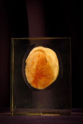 un petit objet en verre contenant un morceau de nourriture