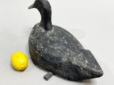 a black duck sitting next to a lemon on a table