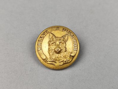 un gros plan d'une pièce d'or sur laquelle figure un chien