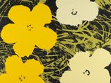 quatre fleurs jaunes et blanches sur fond noir