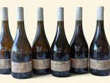six bouteilles de vin sont alignées sur une surface blanche