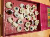 a picture of a display of fake eyeballs in a wooden box