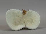 an apple shaped bowl with a tag on it