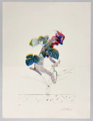Salvador Dali - Flordali - Framboisier, 1969