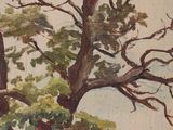 an image of a painting of a tree by the water