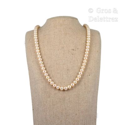 collier de perles présenté sur un mannequin devant un fond blanc