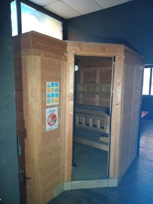 1 sauna (à démonter) - VENDU SUR DESIGNATION A THIAIS (94)