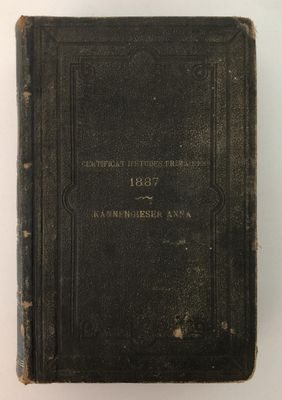 Dictionnaire de la langue française de E.