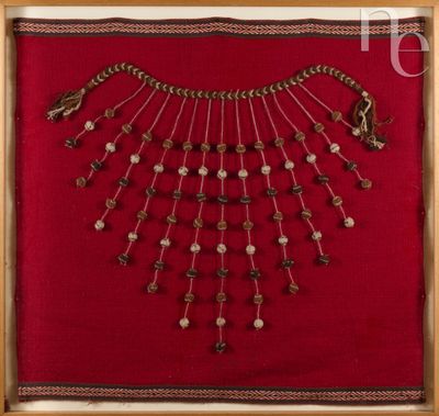 Boulier péruvien élégamment présenté dans un grand cadre vit…