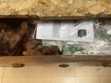 a brown bear that is sitting inside of a suitcase