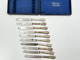 six knives in a blue case are lined up on a white surface