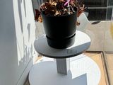 a potted plant sitting on a table in front of a window