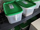 de nombreux récipients en plastique posés sur une étagère dans une pièce