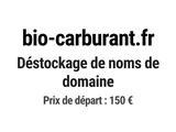 Photo 1/1 du lot