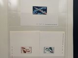a white book with two pictures of a bird and a bird on it