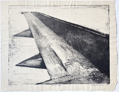 un dessin en noir et blanc représentant une aile d'avion