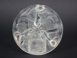 a glass plate with a design on it on a black background