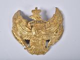 an image of a gold colored badge with a bird on it