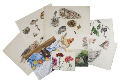 many cards with animals on them on a white surface