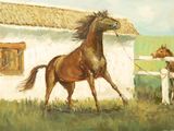 a painting of a horse and a horse in a field