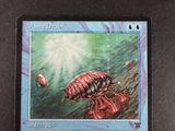 a picture of a card with a picture of a red bug on it