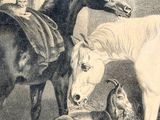 a drawing of a group of horses and goats in a barn