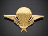 un insigne doré orné d'une étoile et d'ailes sur fond noir