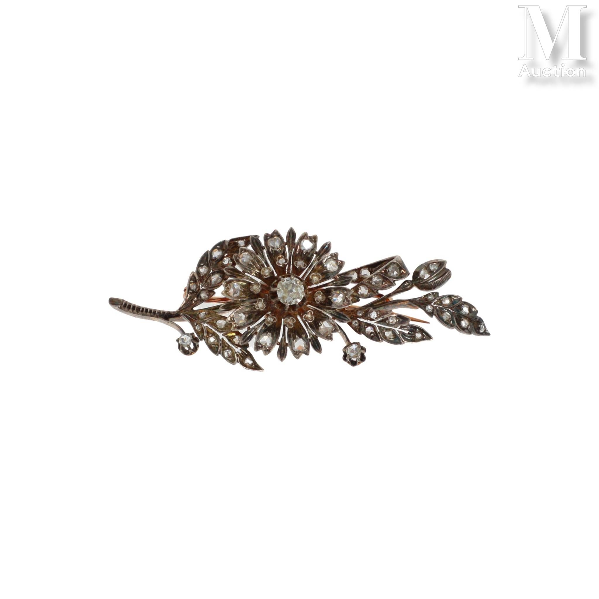 Objets d'art & Curiosités