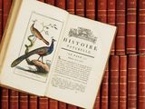 un livre ouvert sur lequel est posée une image représentant deux oiseaux