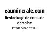 Photo 1/1 du lot