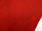 a close up of a red shirt with a hole in it