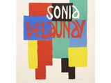 an image of a poster with the words sonic delaury on it