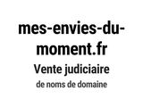 Photo 1/1 du lot