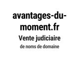 Photo 1/1 du lot