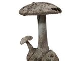 a mushroom that is sitting on a rock with a mushroom on it