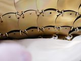 a lot of glasses sitting on top of a table