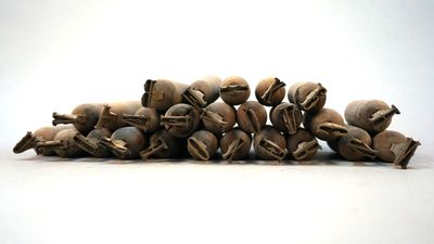 a pile of nuts sitting on a table with a white background