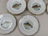 six plates with fish painted on them are sitting on a table