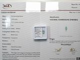 une photo d'un certificat sur laquelle figure la photo d'une personne
