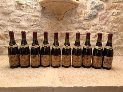 10 B Gevrey-Chambertin. Domaine CARRE-SPY. - Photo 1