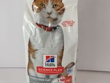 un sac de nourriture pour chat posé sur une table