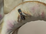 a close up of a statue of a bird on a table