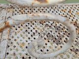 a rusted metal chair with a hole in the back